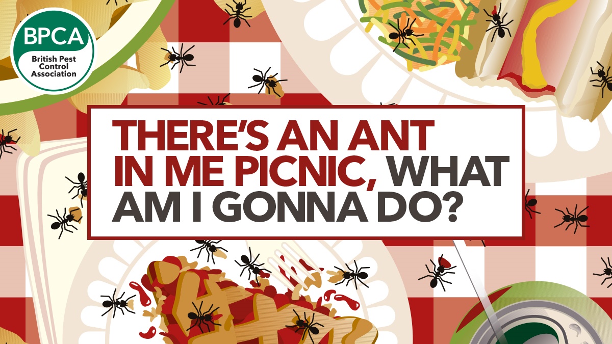 ant picnic hero ant picnic hero